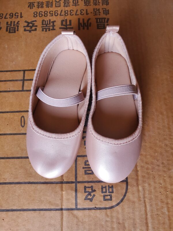 ZJ0180013ET Girls' single shoes