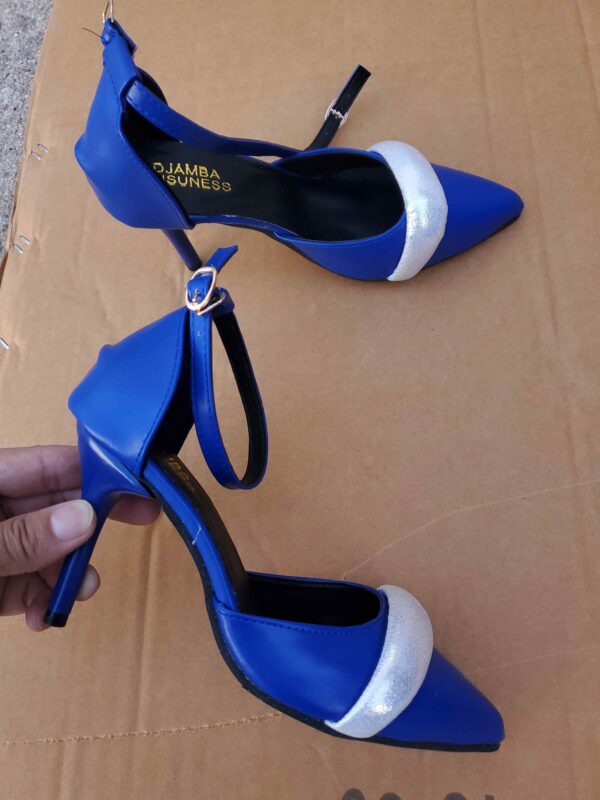 ZJ0180020GG multi style high heels